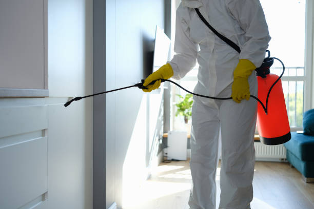 Best Certified Mold Removal  in Chevy Chase Village, MD