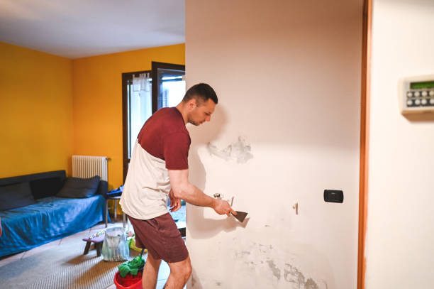 Best Local Mold Removal Service  in Chevy Chase Village, MD